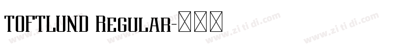 TOFTLUND Regular字体转换 TOFTLUND Regular字体转换